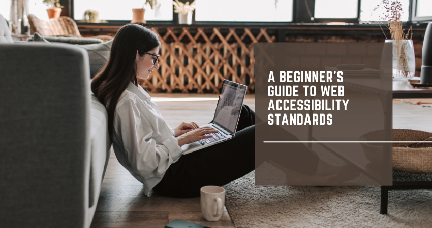 A Beginner’s Guide to Web Accessibility Standards